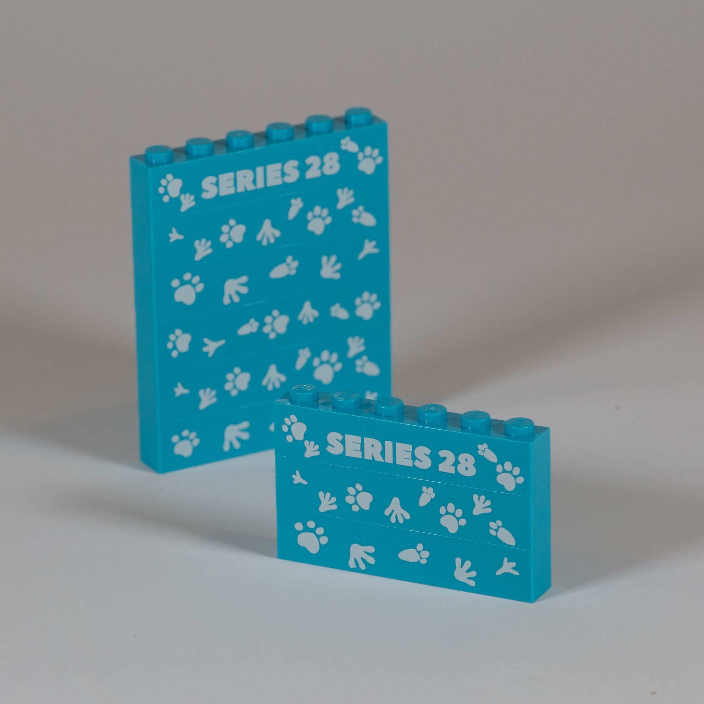 CMF Series 28 Backdrop